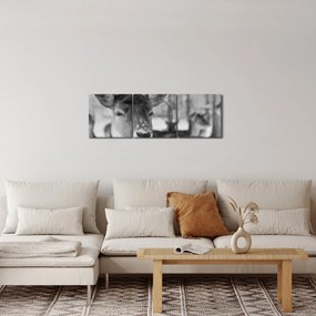 Kép - Szarvas, fekete, fehér (órával) (90x30 cm)