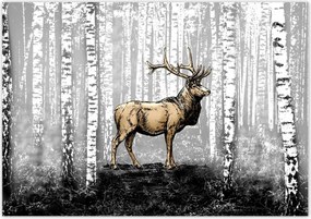 Poszterek 100x70 Szarvas Nyírfa Erdő