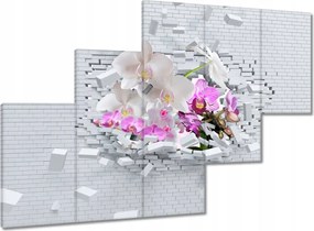 Festmények 150x105 Orchidea a falban