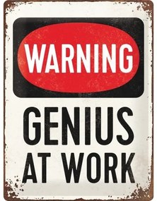 Fém tábla Warning! - Genius at Work, (30 x 40 cm)