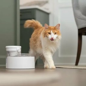 PetSafe® Outlast™ 1,7 literes szökőkút