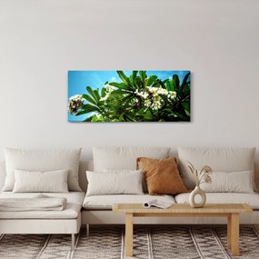 Kép - Plumeria (120x50 cm)