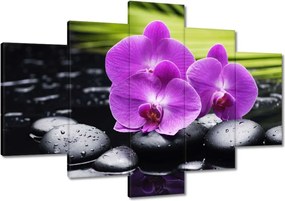 Festmények 120x80 Orchidea Valentin napra