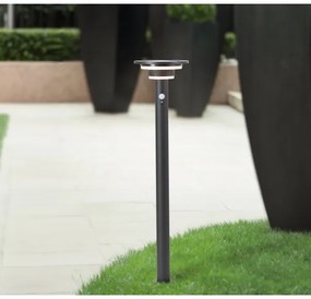 Brilliant - LED Napelemes lámpa érzékelővel GARVINA LED/3W/3,7V 85 cm IP44 fekete