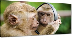 Vászonkép 120x60 Állatok