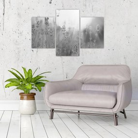 Kép - Levendula (90x60 cm)