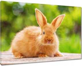Vászonkép 100x70 Húsvéti nyuszi