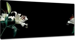 Vászonkép 115x55 Gyönyörű fehér liliom