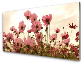 Fali üvegkép Virág Vadvirágok Mező Természet 120x60cm
