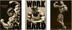 Poszter szett Arnold Schwarzenegger testĂ©pĂtĆ 3 db-os 40x30 cm