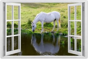 Poszterek 90x60 Fehér ló