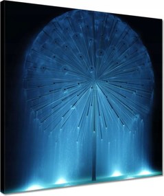 Vászonkép 40x40 Pitypang Virág Virágok