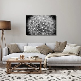Szürke pitypang képe (90x60 cm)