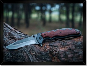 Poszterek keretben 40x30 Fatörzsön fekvő kés