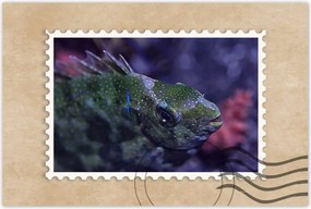 Poszterek 60x40 Tengeri vízi ökoszisztéma