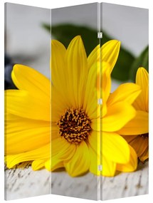 Paraván - Sárga virág (126x170 cm)