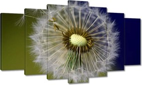 Vászonkép 140x80 Pitypang Virág Virágok