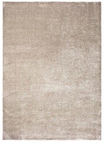 Szürke-bézs szőnyeg 200x290 cm – Universal