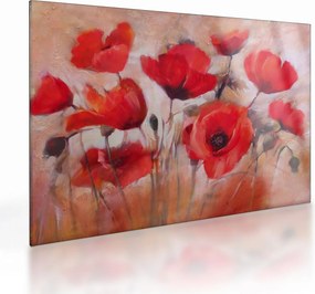 Üveg kép - Farkas mák (70x50 cm)