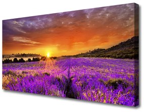 Vászonkép falra Sunset Lavender Field 100x50 cm