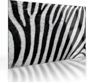 Kép egy zebra bőrről (üvegen) (70x50 cm)