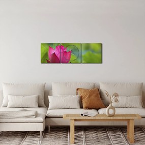 Kép - vízi növény (órával) (90x30 cm)