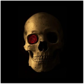 Poszterek 30x30 Koponya rĂłzsĂĄval