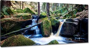Festmények 115x55 Hegyi patak Tájkép