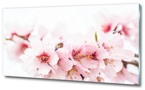 Egyedi üvegkép Cseresznye virágok osh-79943111
