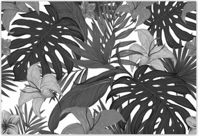 Fotótapéta 152x104 Fekete-fehér monstera