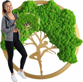 Vászonkép Moha az élet boldogságának fája Moha Chrobotek Bonsai 50cm Minőség