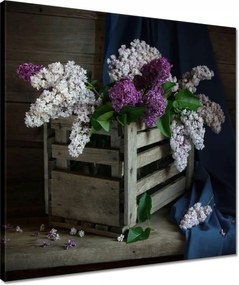 Vászonkép 50x50 Doboz nélkül