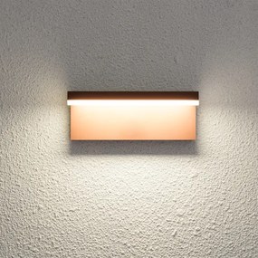Brilagi - LED kültéri fali lámpa TESSI LED/10W/230V barna IP54