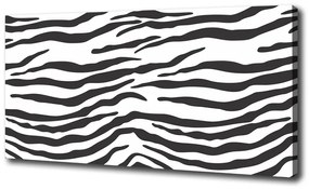 Fénykép vászon Zebra háttér oc-87477290