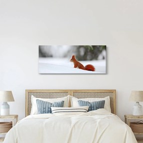 Egy mókus képe (120x50 cm)