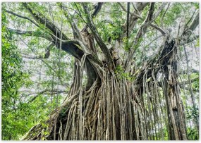 Poszterek 100x70 Tájkép Látvány