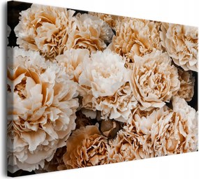 Fali dekoráció Vászonkép a nappaliba Világos bazsarózsa csokor 80x120