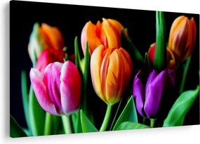 Tulipánok képe fekete alapon (90x60 cm)