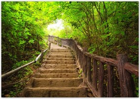 Fotótapéta flizelina 416x290 Lépcsők az erdőbe