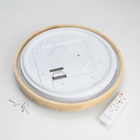 Brilagi - Fényerőszabályozható LED mennyezeti lámpatest PINE LED/24W/230V + távirányító