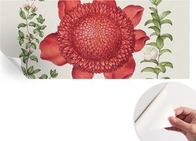 Matt öntapadós fotótapéta Falra Virágos elegancia 250x104 cm