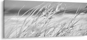Kép - Strandfű (120x50 cm)