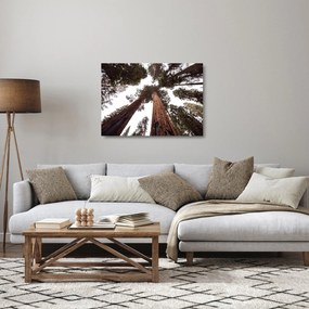 Kép - Kilátás a fák között (üvegen) (70x50 cm)