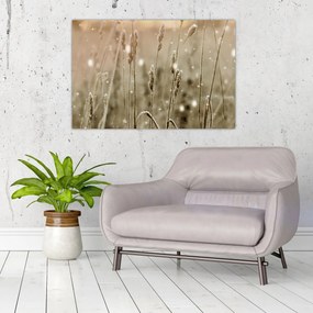 Kép - Harmonikus rét (90x60 cm)
