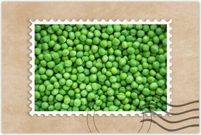 Poszter 60x40 Zöldborsó