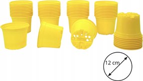 50 db Termelő kaspó 12 cm Sárga zsázsa nárcisz krókusz tavasz