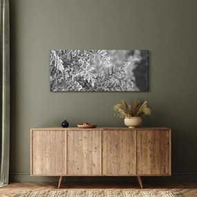 Kép - Lucfenyő erdő (120x50 cm)