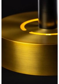 Lámpa Mennyezeti lámpatest SELVIA II, 5679, max. 250V, 50/60Hz, 1*E27, max.40 W,  IP20, átmérő 30 cm, arany/fekete