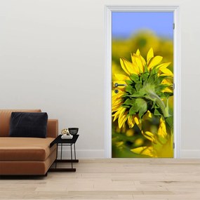 Fotótapéta ajtóra - Napraforgó (95x205cm)