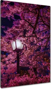 Vászonkép 80x120 Mély éjszaka Lampa Virágok